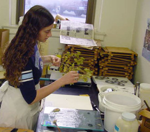 citizen scientist