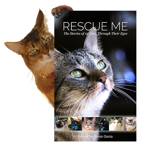 We are very excited about this book!