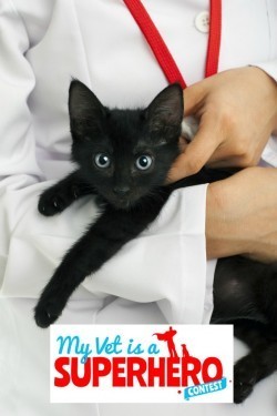 vet_superhero