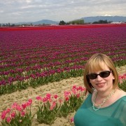 j9tulips2014purpleandpink