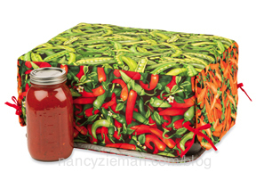 Hot and Hand Project Book with Nancy Zieman 