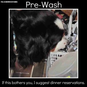 prewashatlanta2011 026 (3)