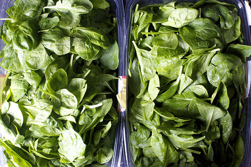 so much baby spinach