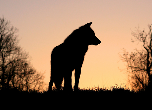 photo tumblr_mocho5lHju1rwcfrqo2_500_zpsb914ce82.png