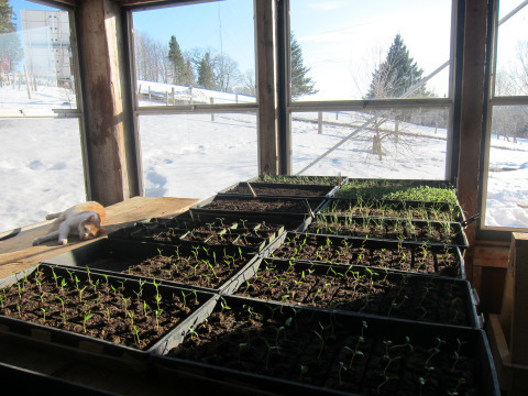 Hurry up and grow, will ya? 