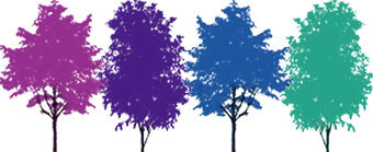  photo ColorfulTrees_zpscaa16e0b.jpg