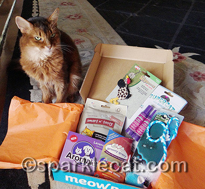 You could get an awesome MeowBox too!