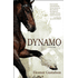 9110066: Dynamo