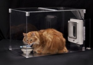 MeowSpace