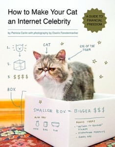 how_to_make_your_cat_an_internet_celebrity