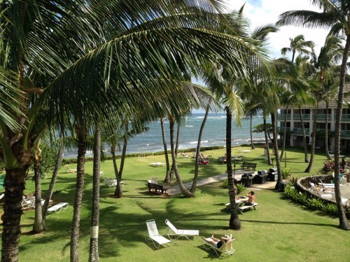AE_Kauai_Moki