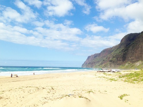 AE_Kauai_Beach2