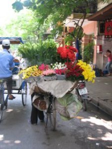 viet1