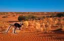 outback