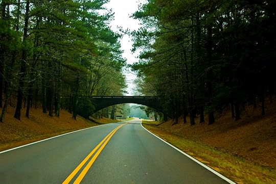 Natchez Trace Parkway