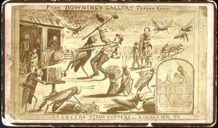 Research rabbit trails: grasshoppers