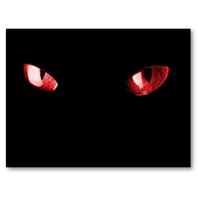 red cat eyes