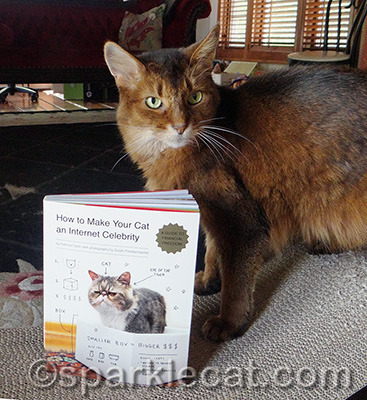 Somekitty has broken the Vow of Silence!