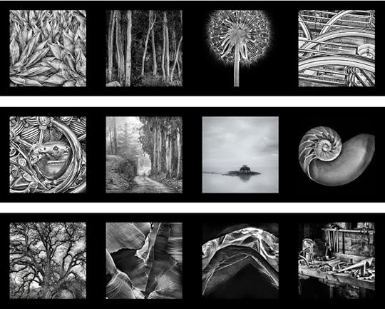 Monochromatic Visions portfolio by Harold Davis