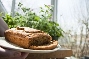 Gluten free bananna bread on sunporch