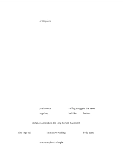 orthoptera