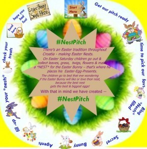 Drafy Nest Pich Logo last stage