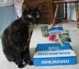 Meow_Box