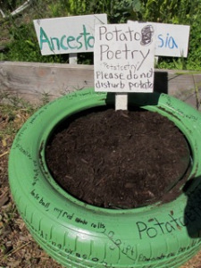 A potato tire!