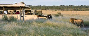 Kalahari-Plains-Camp1