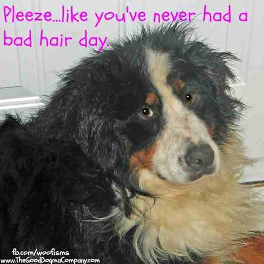 hairday06 11 08_0382_edited-1