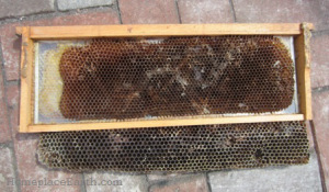 medium frame that the bees have made into a deep