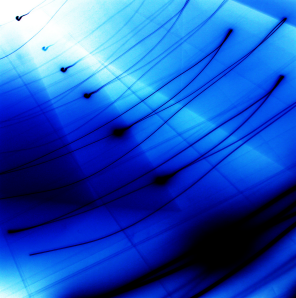 blue