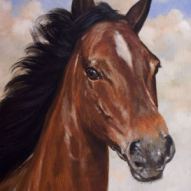 horses
