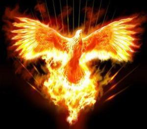 phoenix