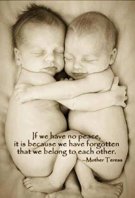 1375098_376653579131945_2115346772_n