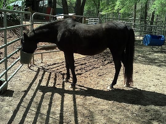 2014-04-16_15-52-49_167