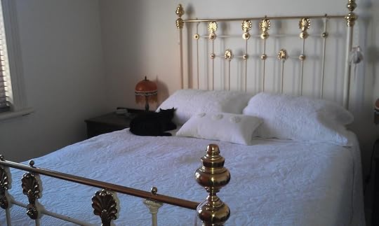  photo IMAG0266_zpsf55cabbc.jpg