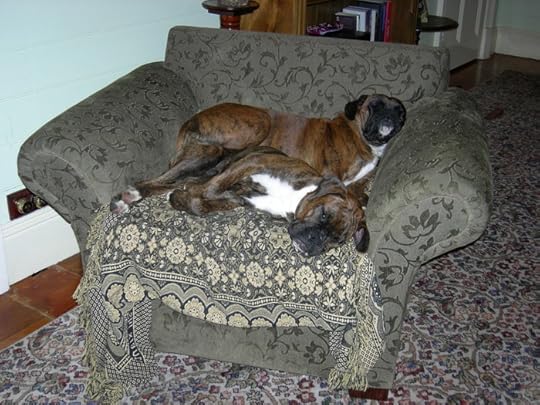  photo bellaandmoses_zps40134095.jpg