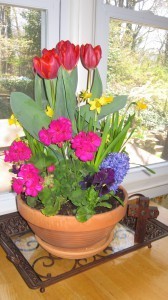 Easter Flowers
