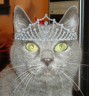 Queen Katya