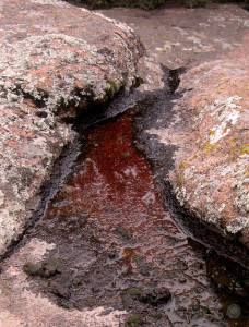 Stones of Easter: Blood. Photo by C.L. Francisco