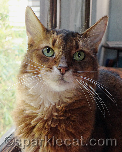 My wistful look