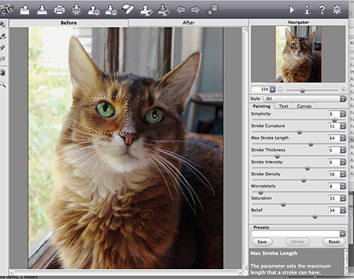 Incidentally, you can move that little preview square around where ever you want
