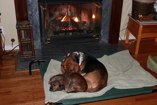 ...BUT THE FIRE IS SO DELIGHTFUL!