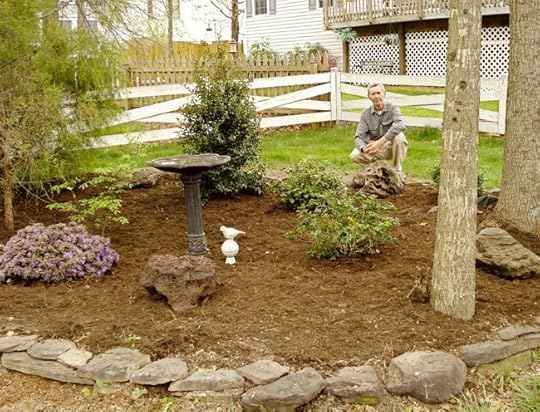 bird-garden-1-web