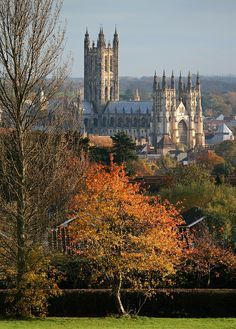 "I was a small child when I left that echoing village of the dead. A fortnight after they all died, I was found and taken in by the nuns of Canterbury Abbey. I became what I am—what I used to be—purely because they took me in. I have said many words that bound me to a life in cloister, a life of books and prayer. " -- from the novel SINFUL FOLK