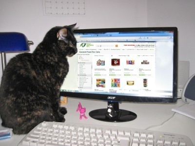 cat_computer_monitor