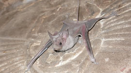 8945087915_725f8a3141_o