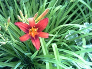 file000387773255