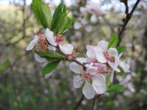 20130504-125215.jpg